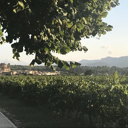 Cal Pubill Сasa de vacaciones Ginestar